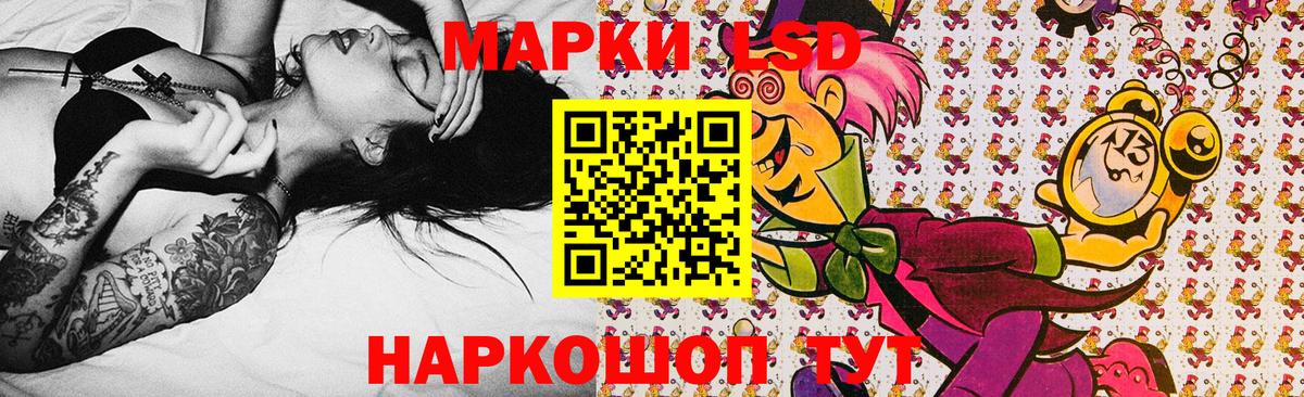 Богданович  Марки NBOMe 1,5мг  Вход с VPN 