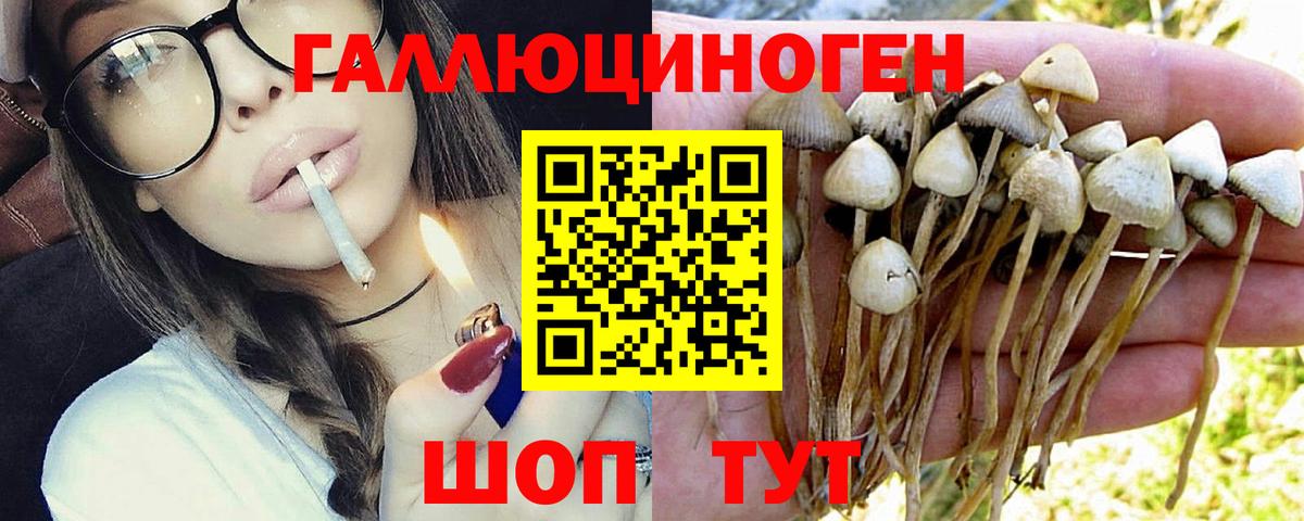 Галлюциногенные грибы прущие грибы Богданович